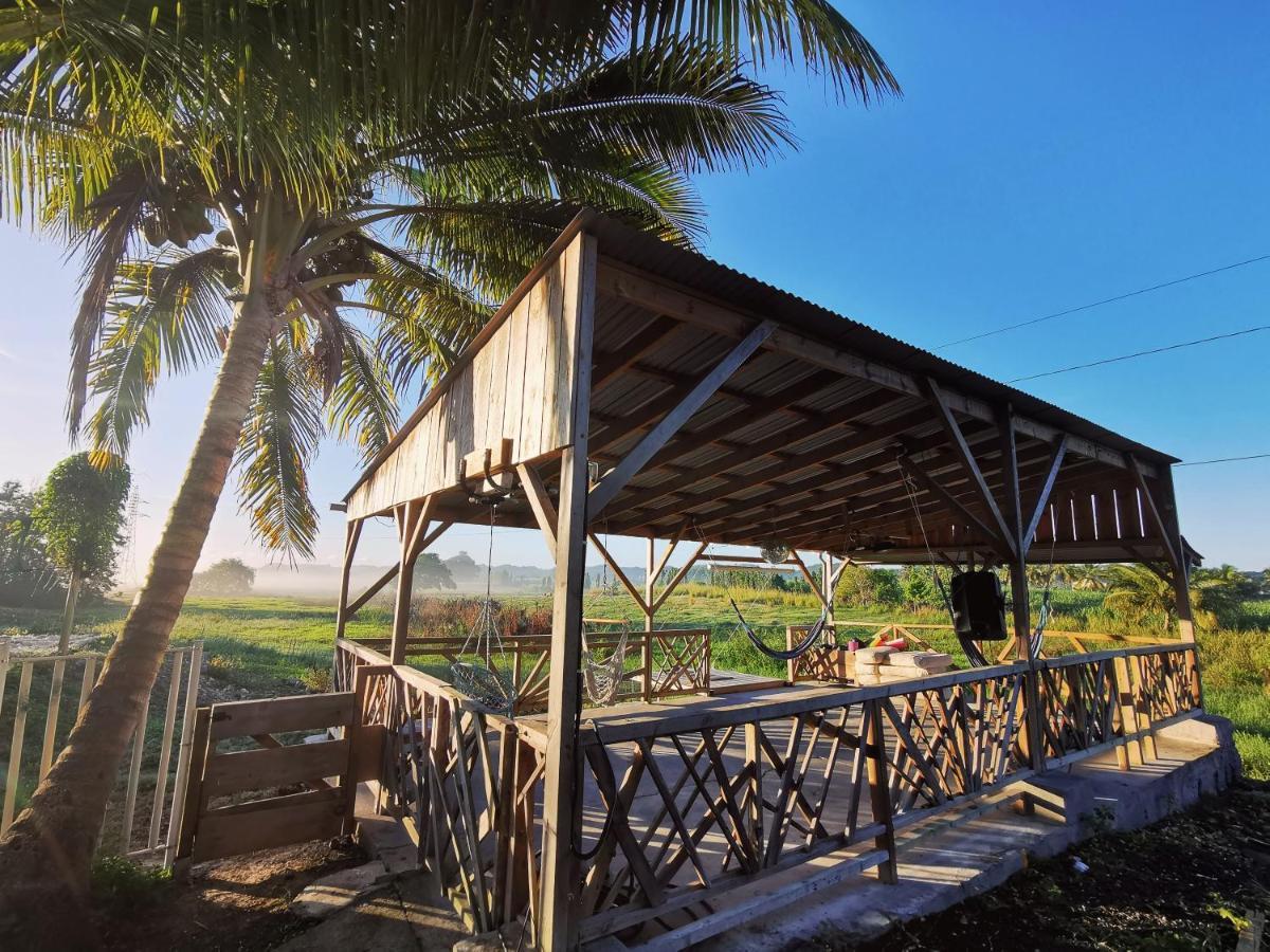 Ride In Youth And Surf Center Morne-a-l'Eau エクステリア 写真